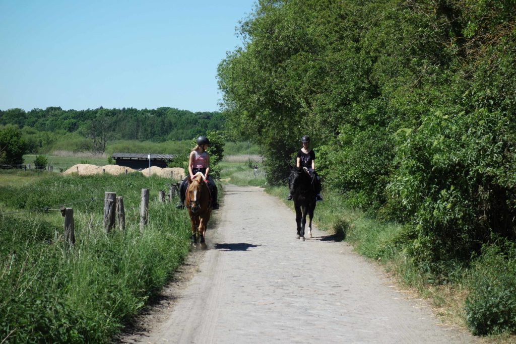 Reiten in Alt-Lübars