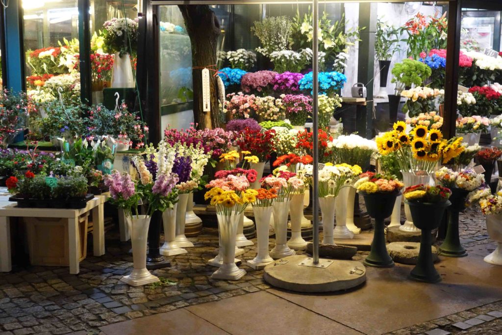 Blumen auf dem Salzmarkt Breslau