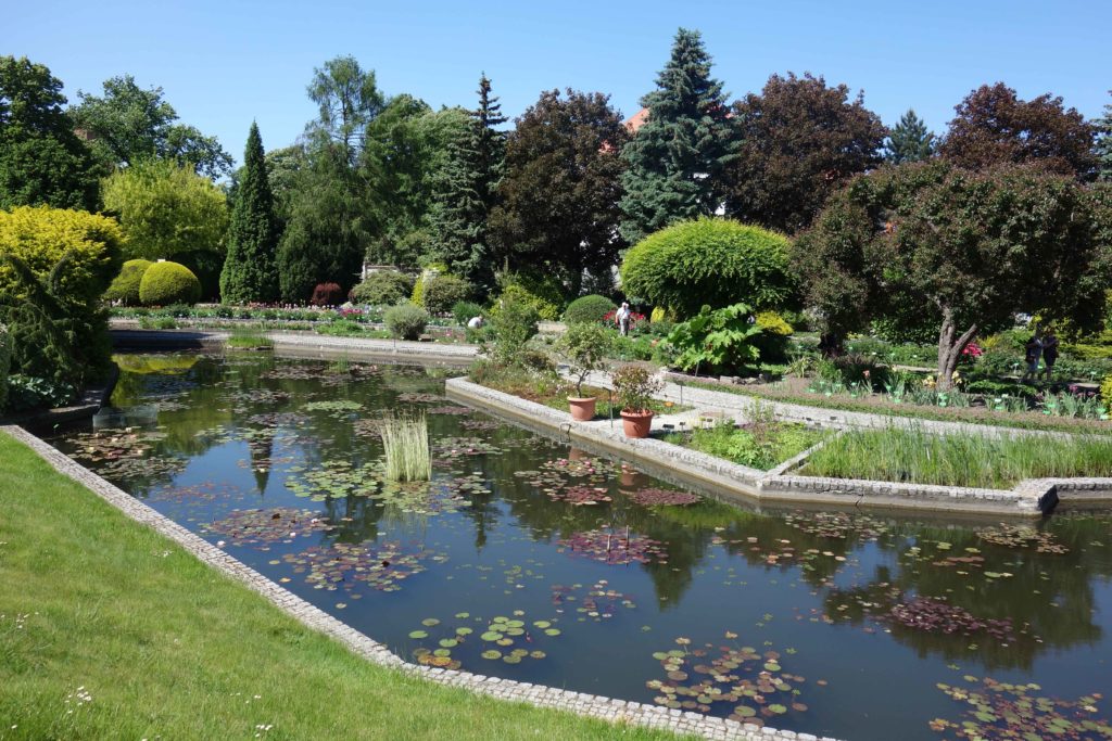 Botanischer Garten Breslau