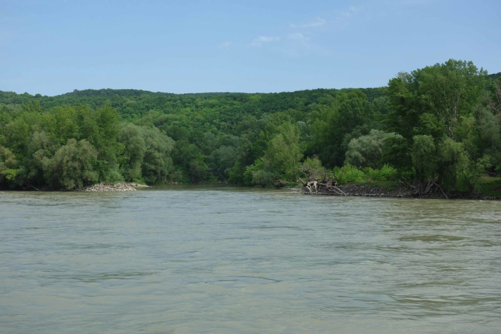 Donau Auen