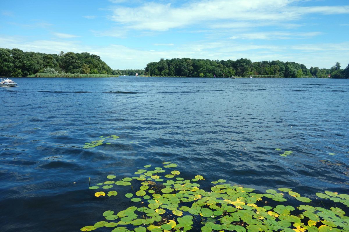 Große Wanderung am Tegeler See und der Havel