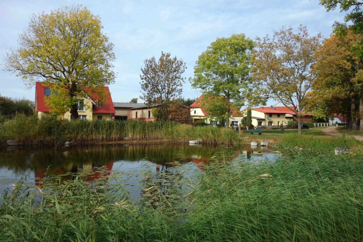 Radfahren auf Usedom: Per Mietrad die Insel entdecken