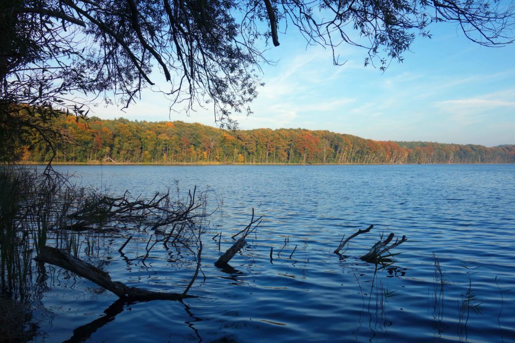 Wolgastsee auf Usedom