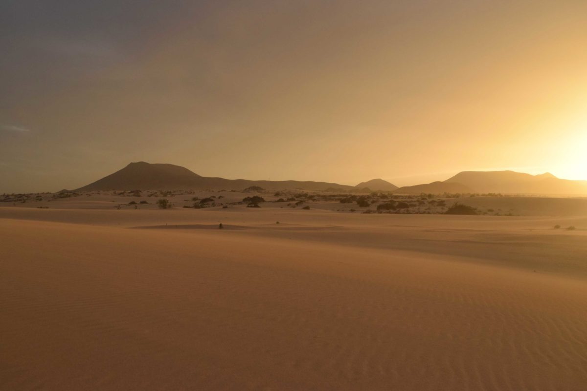 Panoramatour auf Fuerteventura: Dünen, Höhlen & Streifenhörnchen