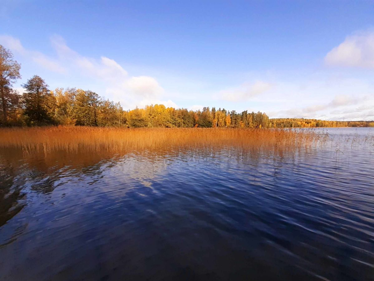 Herbst in Finnland: Indian Summer bei Helsinki