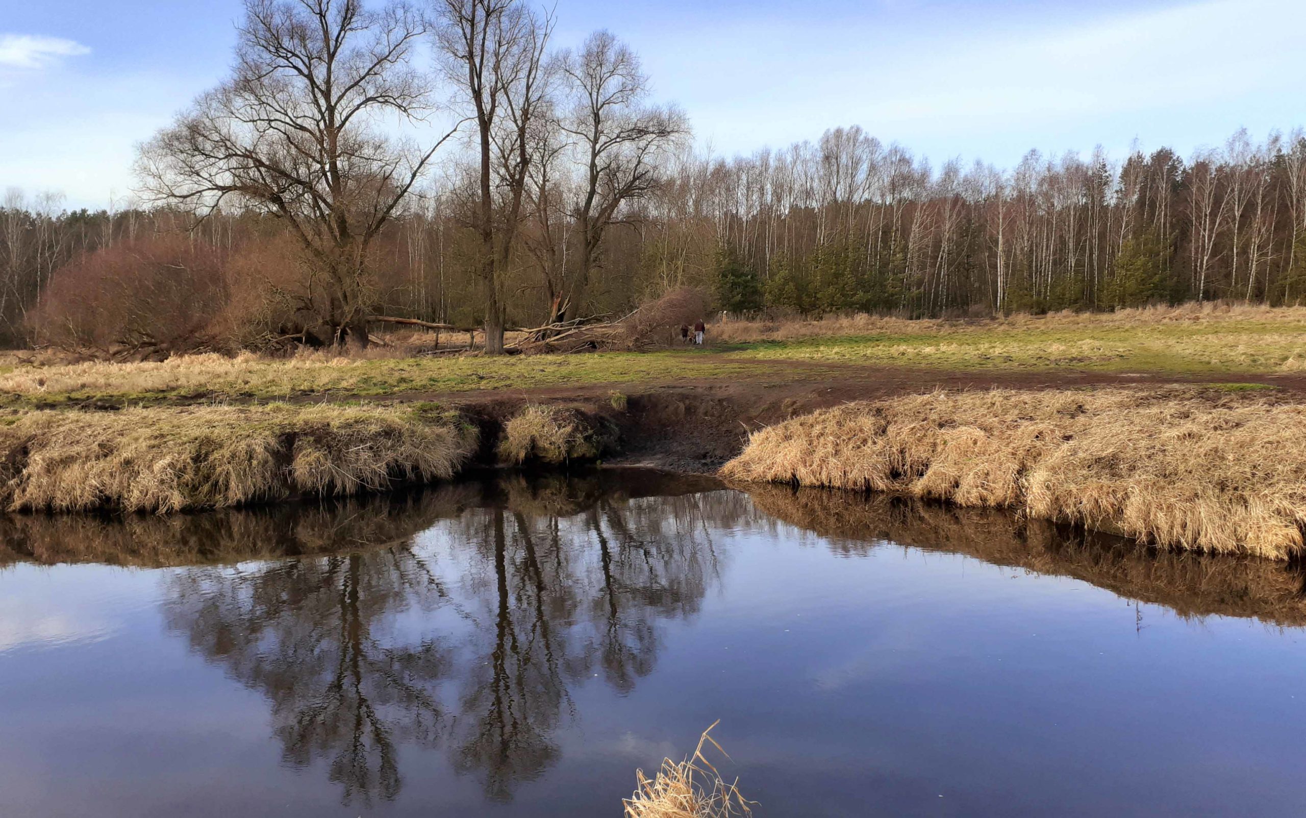 Erpetal Wandern im Winter - Natur in Berlin erleben