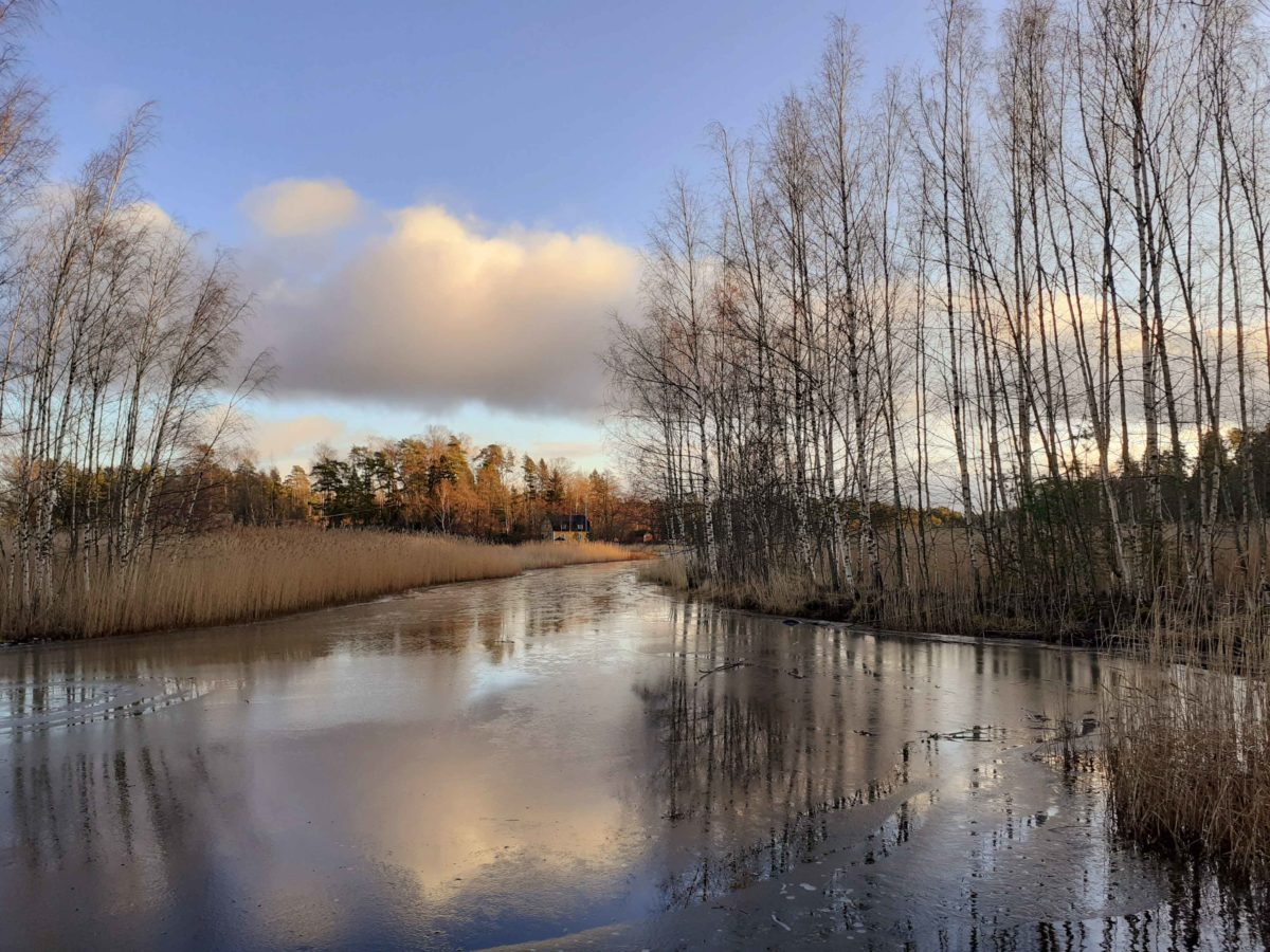 Silvester in Finnland unter dem Sternenhimmel auf Pellinki