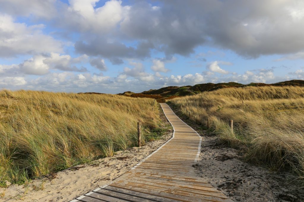 Natur an der Nordsee