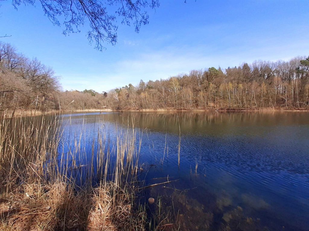 Waldsee am Fontane Radweg