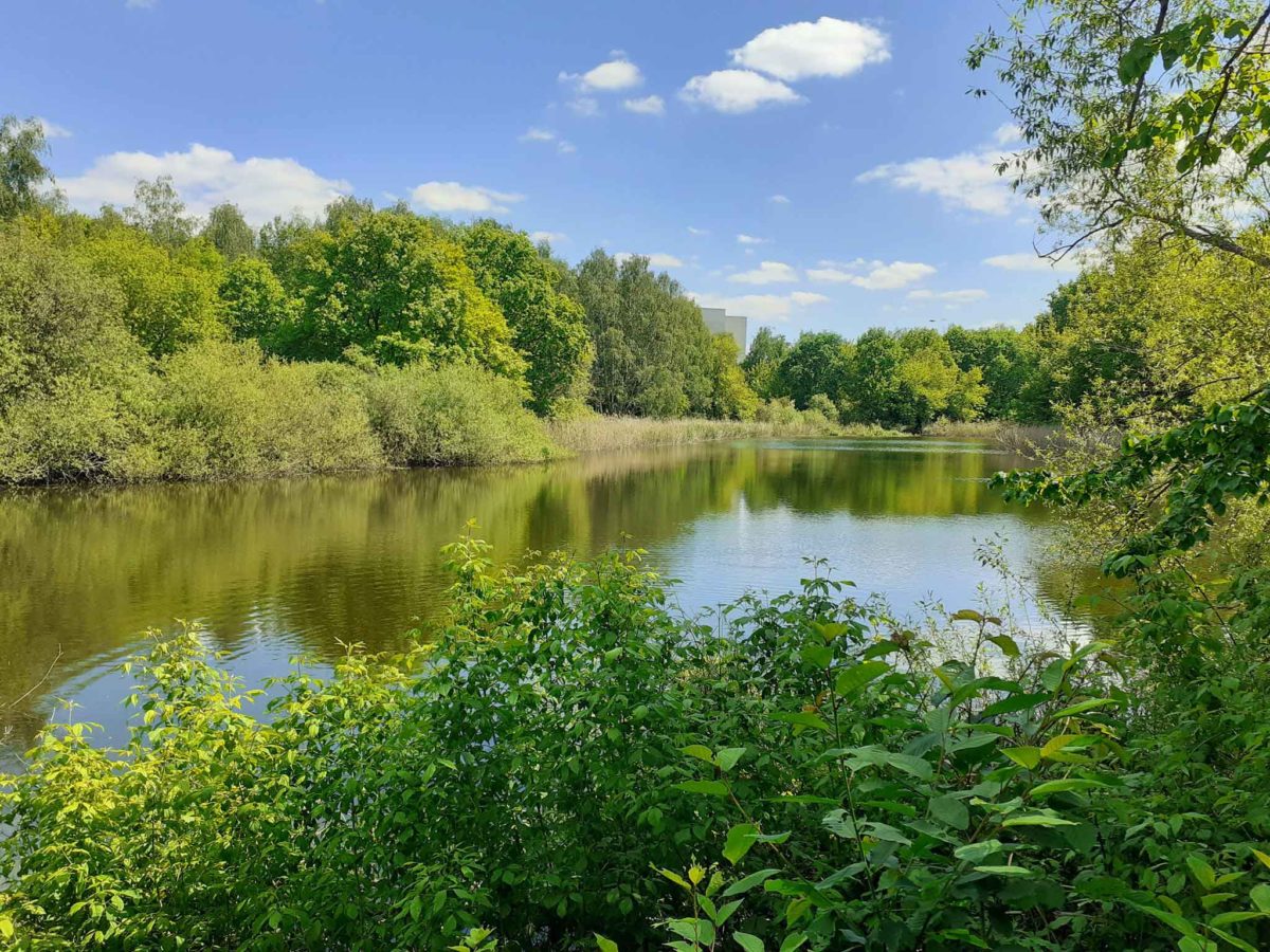 Wandern in Berlin an der südlichen Stadtgrenze