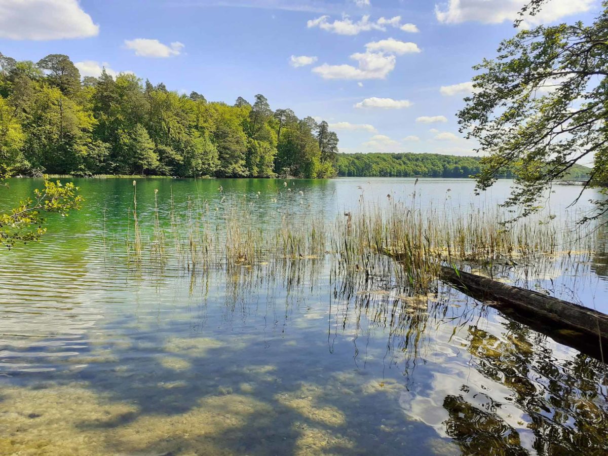 Großer Stechlinsee