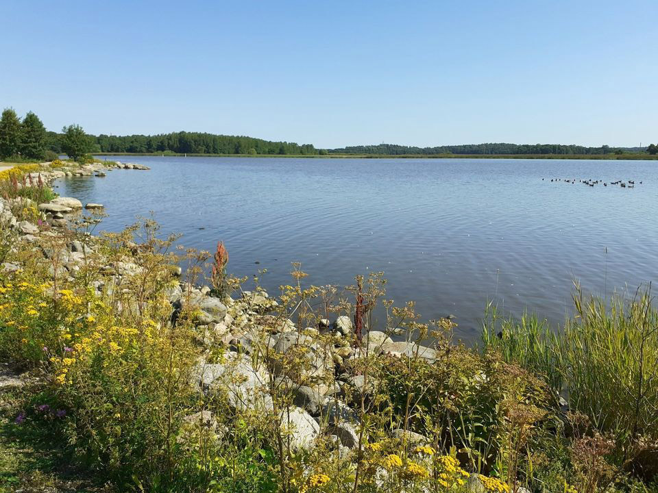 Ufer in Vanhakaupunki