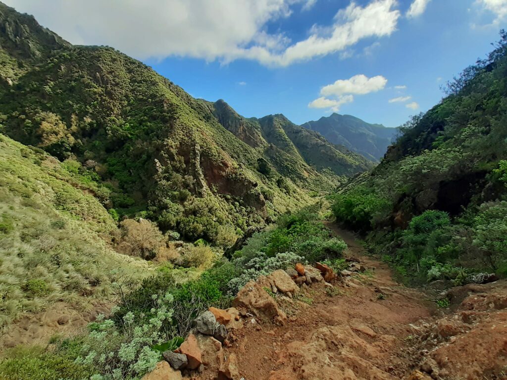 Wandern auf Teneriffa