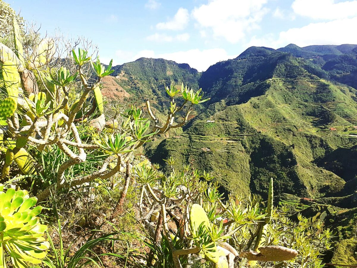 Anaga Gebirge auf Teneriffa