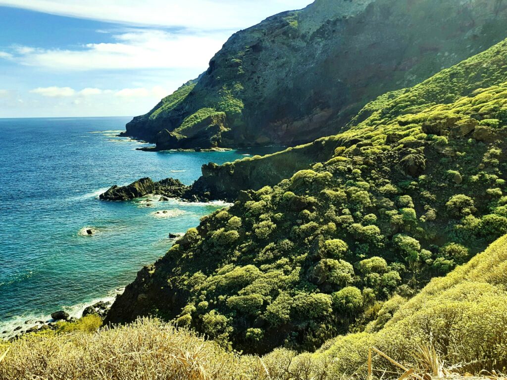 Überwintern auf Teneriffa
