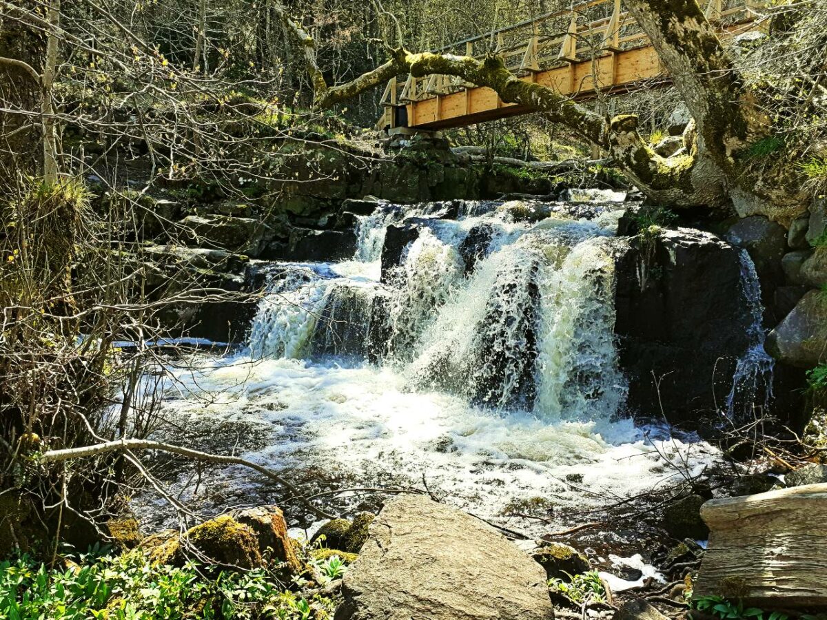 Hallamölla Vattenfall: Rundwanderung zum Wasserfall