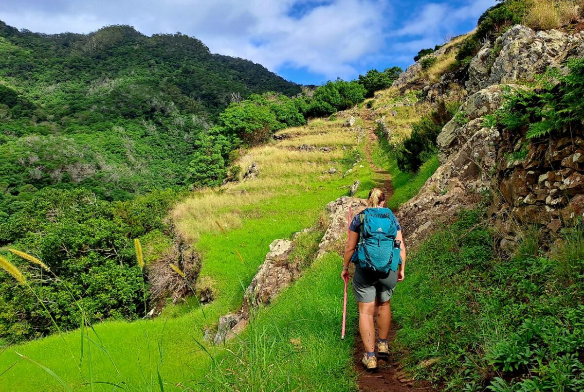 Wandern auf Madeira: Zwischen Gipfeln und Levadas