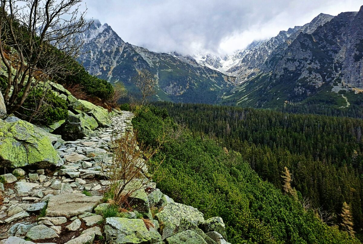 Wandern Hohe Tatra