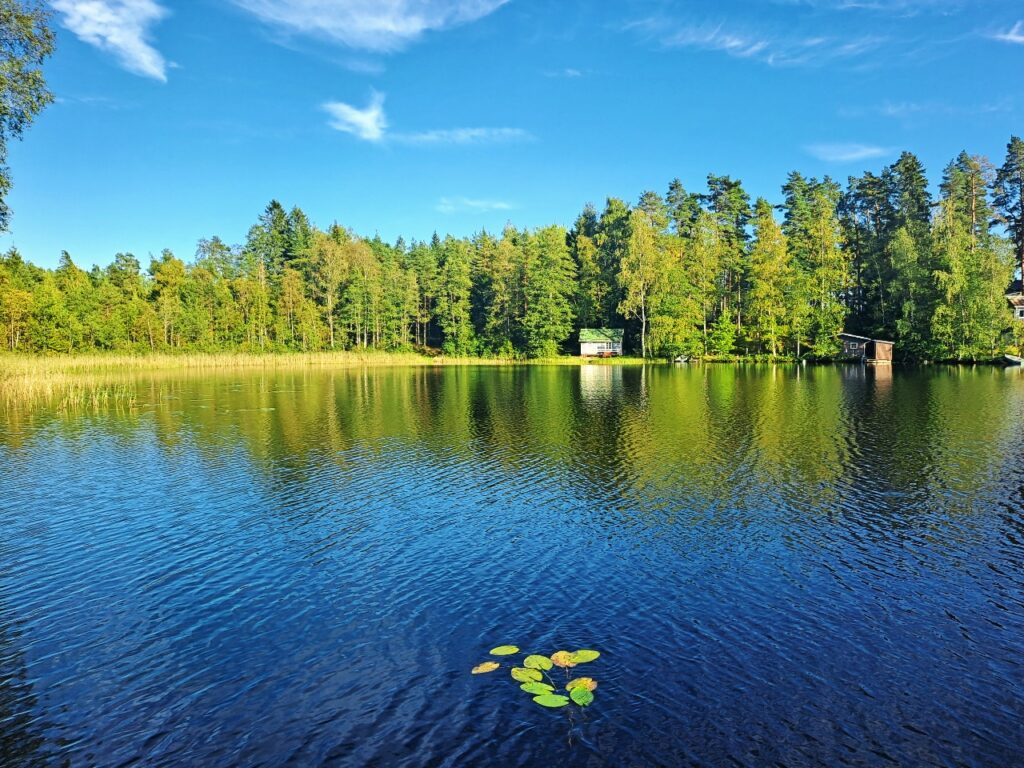 Lehmijärvi bei Salo