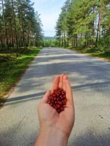 Preisebeeren in Finnland