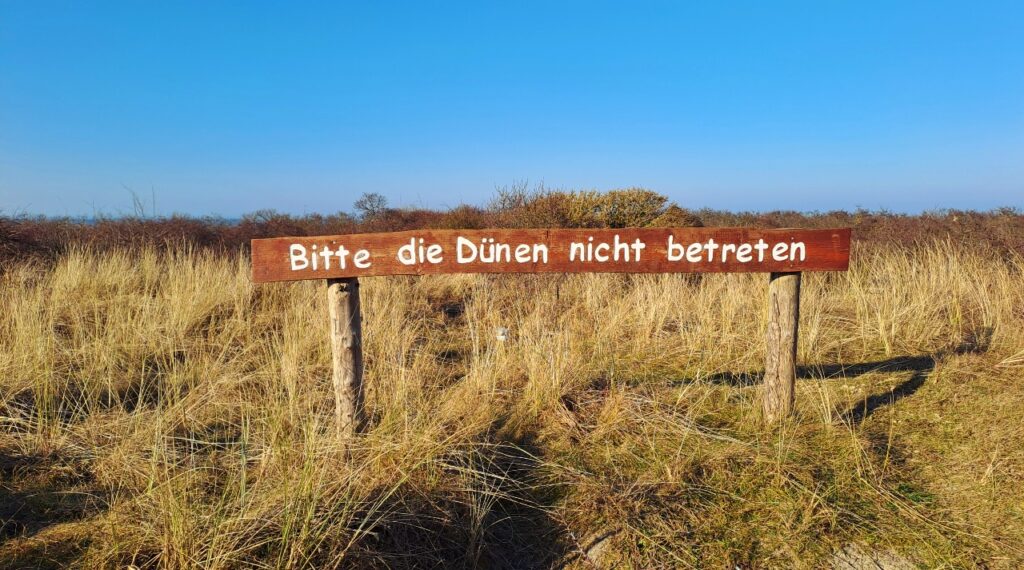 Dünenschutz auf Juist