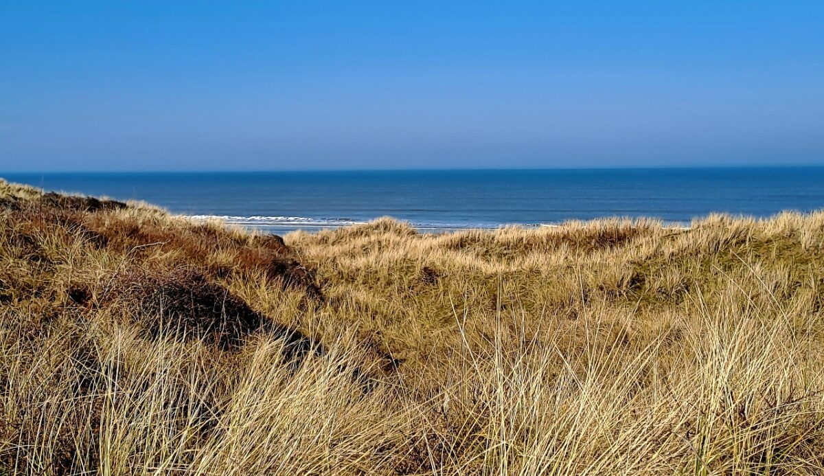 Dünen und Strand auf Juist