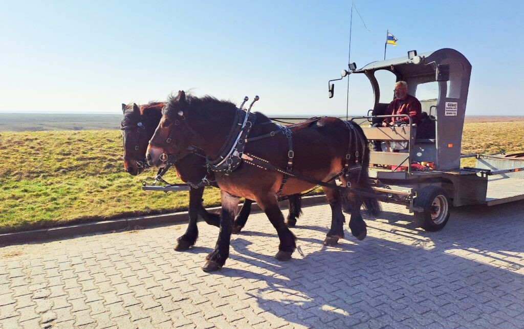 Pferdewagen an der Nordsee