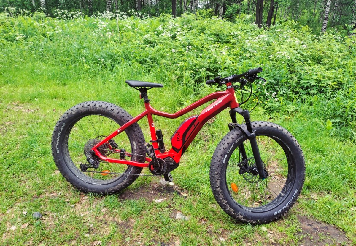 Rovaniemi E-Fatbike Tour