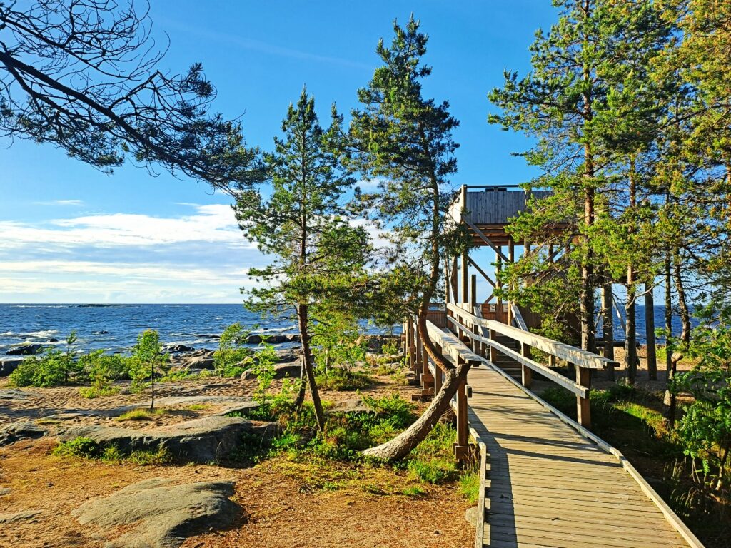 Weg zum Vogelbeobachtungsturm in Fäboda